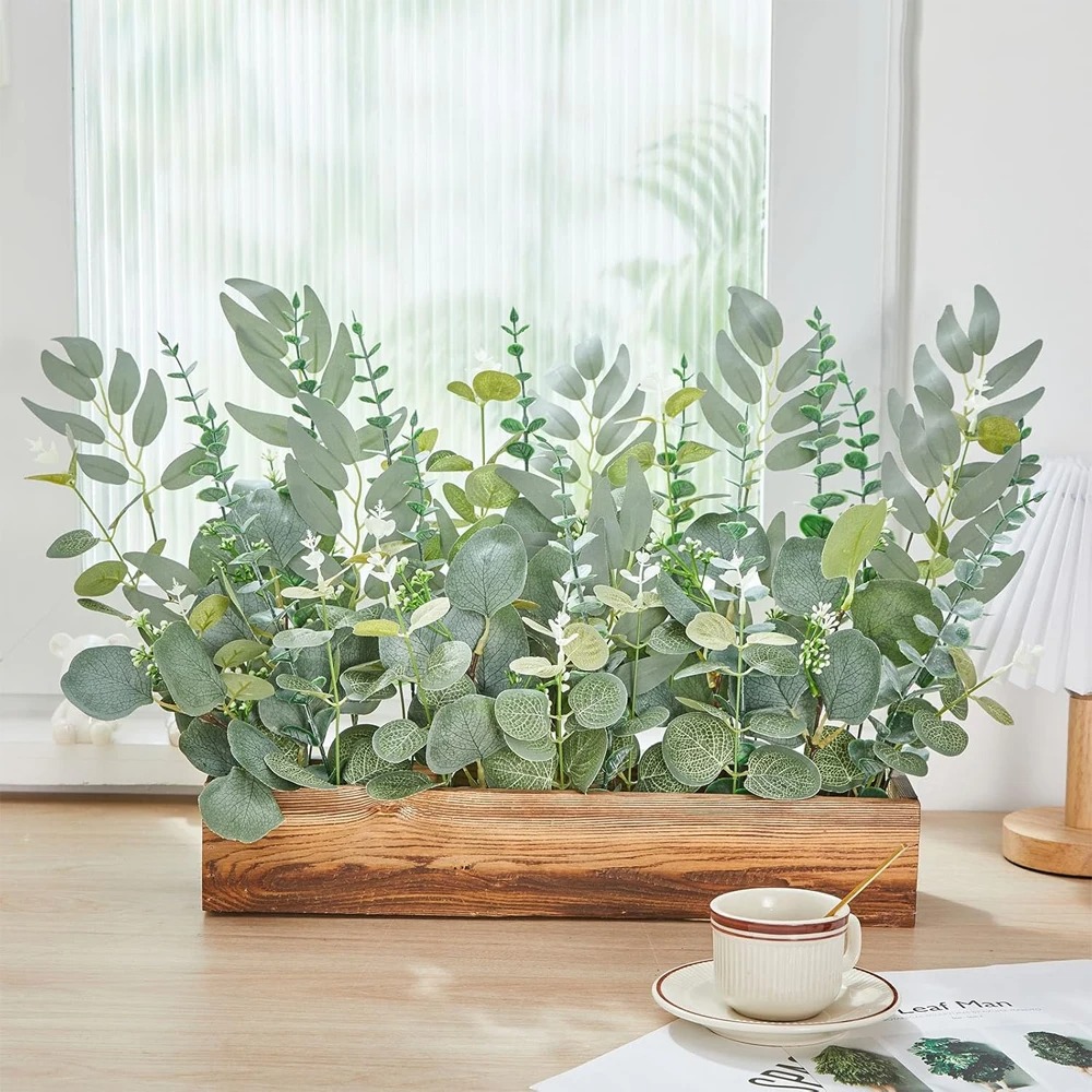 20 adet Okaliptüs Yaprakları K - Sphagnum Moss Dry incelemesi ve fiyatı