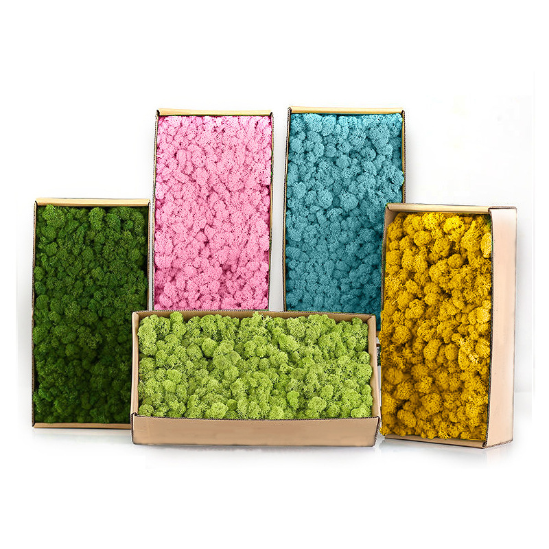 Yapay Yeşil Bitkiler Mini Peyz - Sphagnum Moss Dry incelemesi ve fiyatı